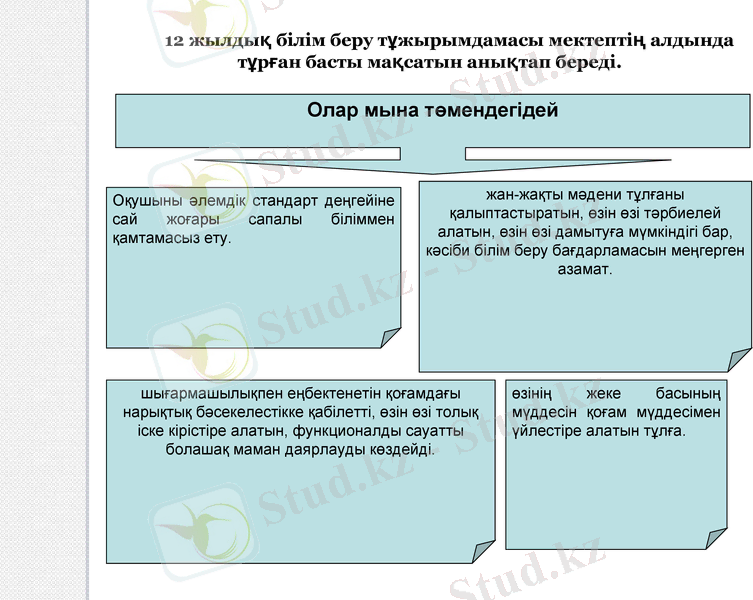 Slide 7