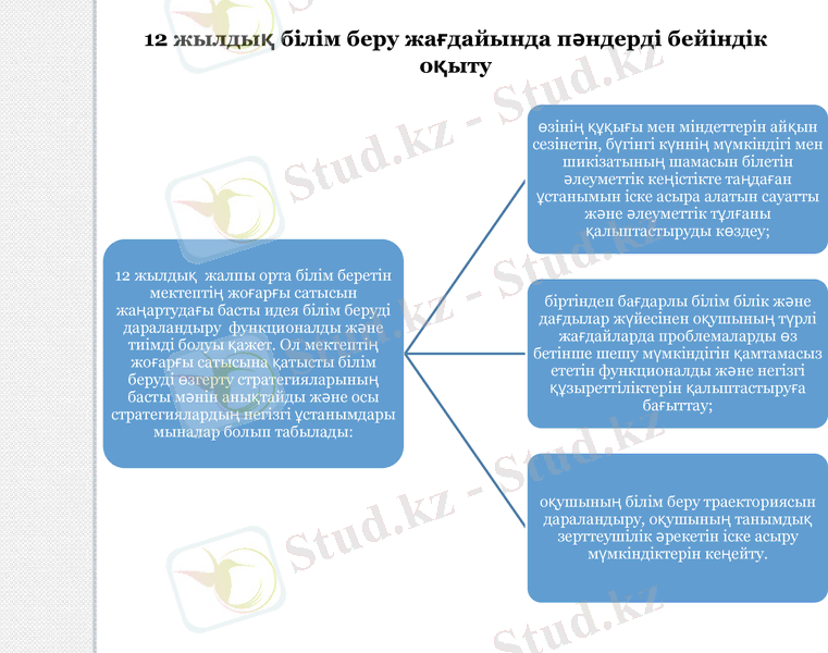 Slide 8