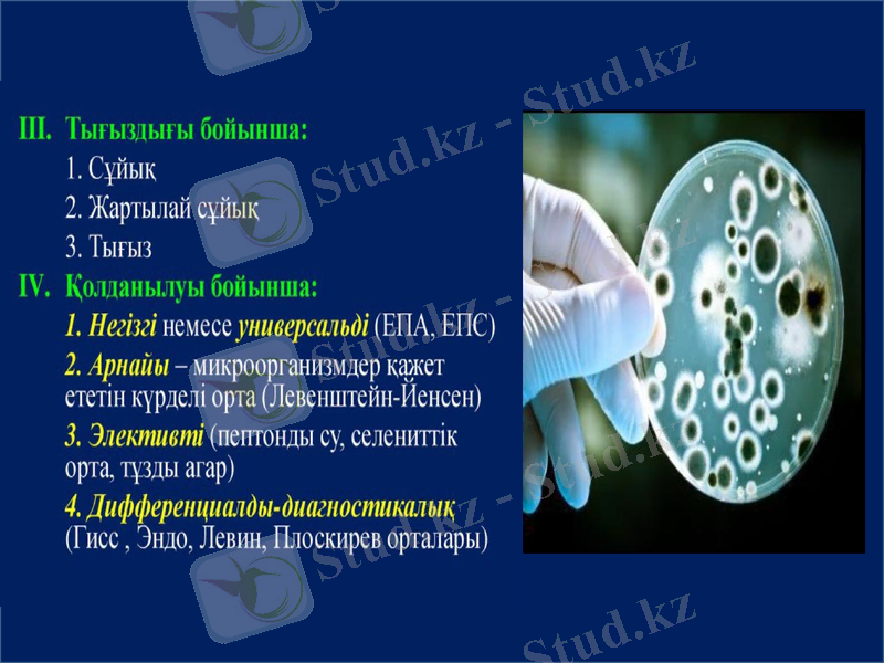 Slide 10