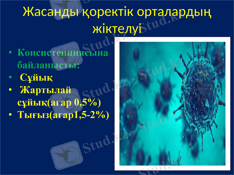 Slide 11