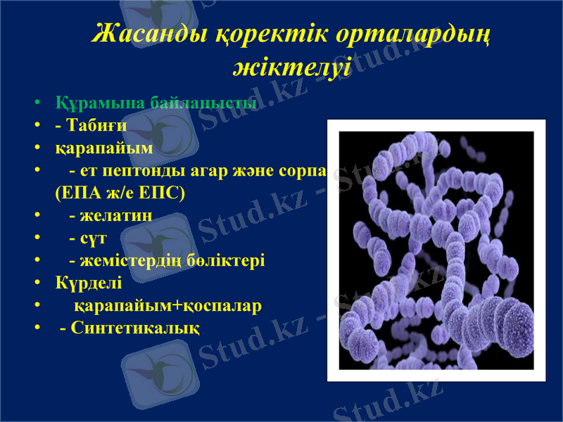 Slide 12
