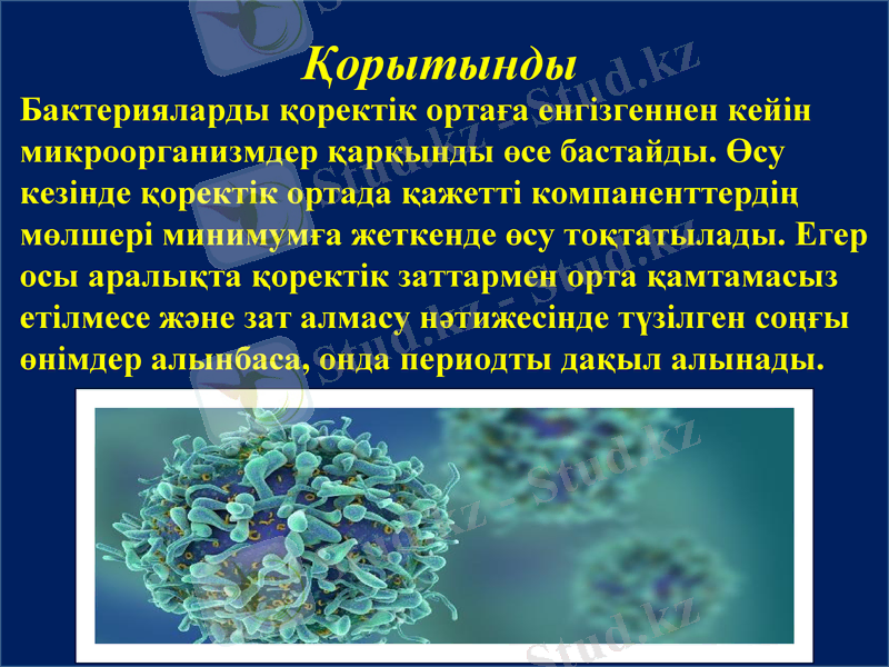 Slide 13