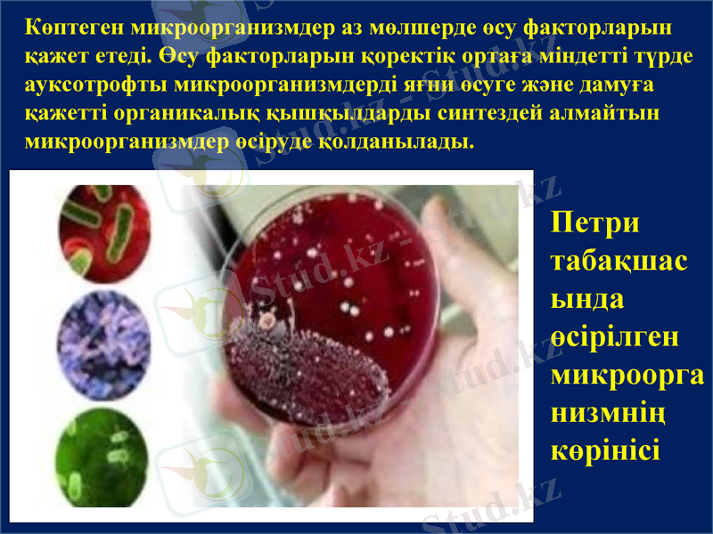 Slide 7