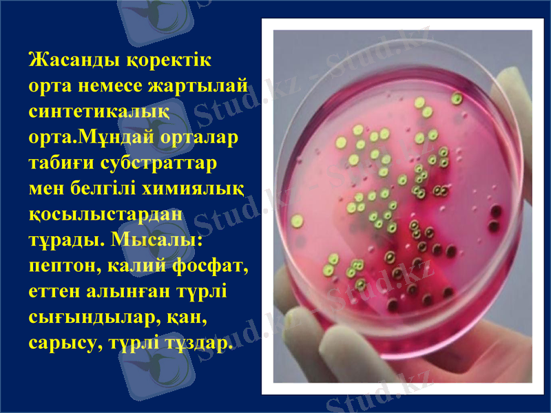 Slide 8