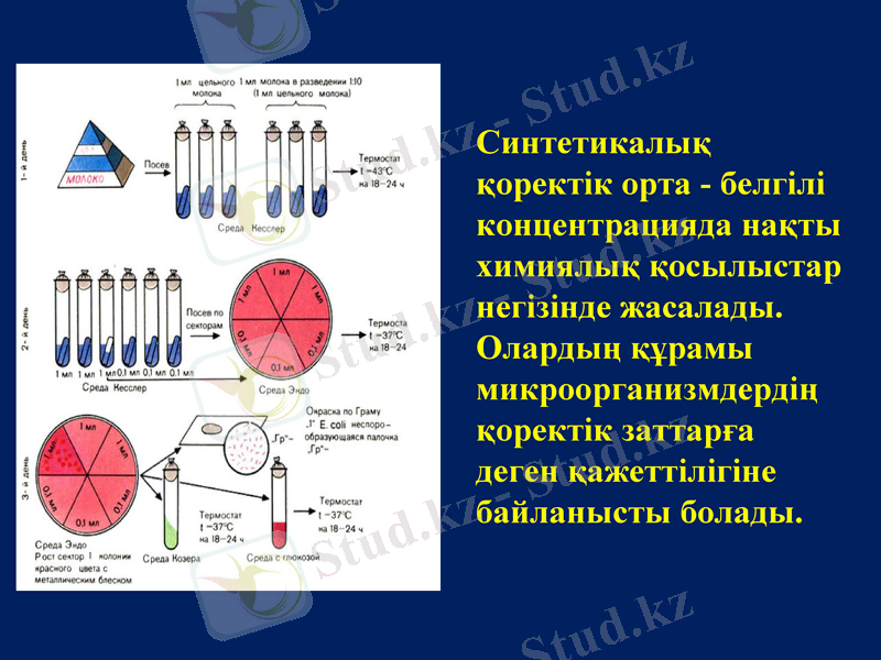Slide 9