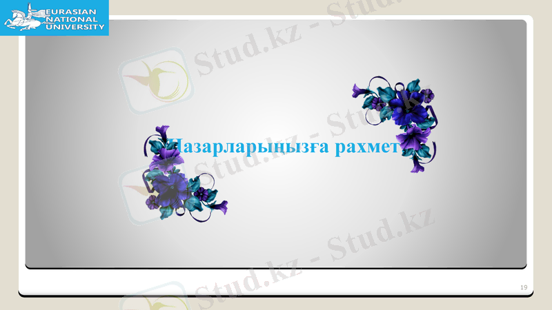 Slide 19
