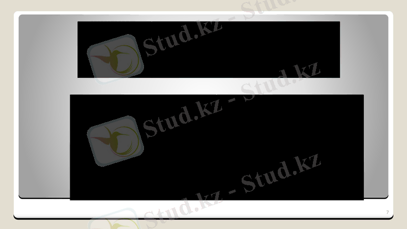 Slide 7