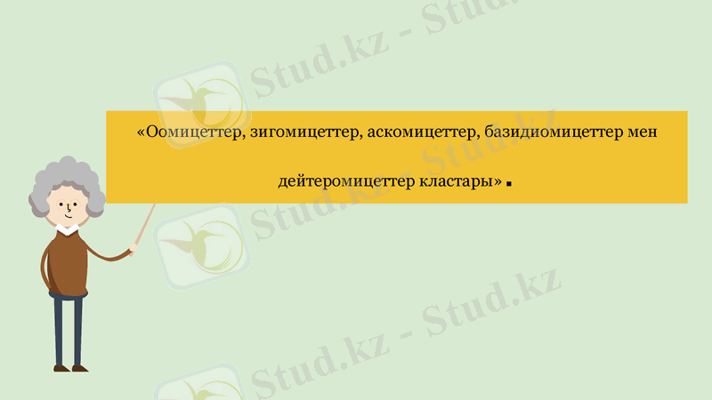 Slide 1