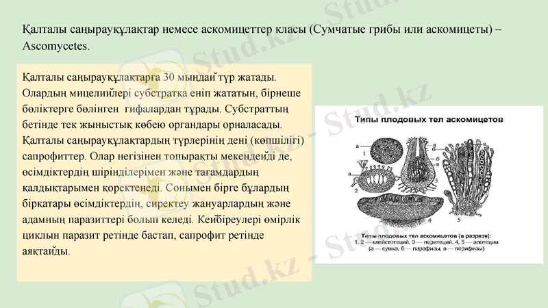 Slide 10
