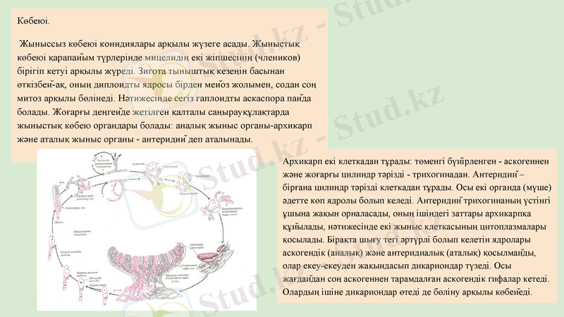 Slide 11