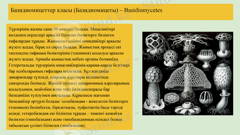 Slide 12