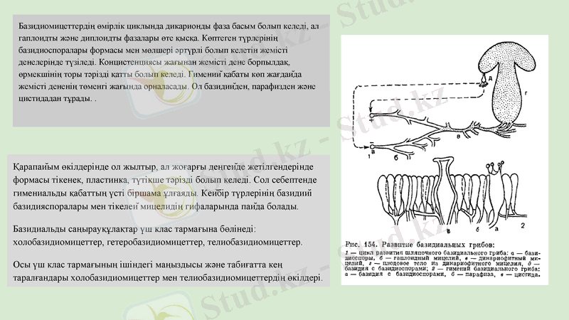 Slide 13