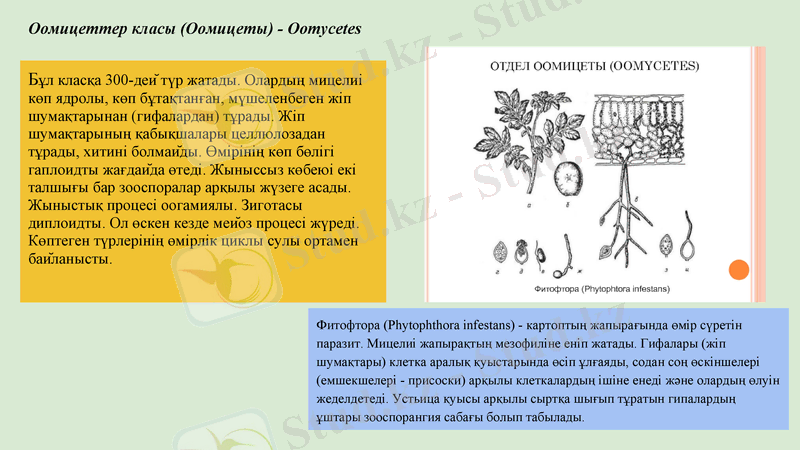 Slide 6