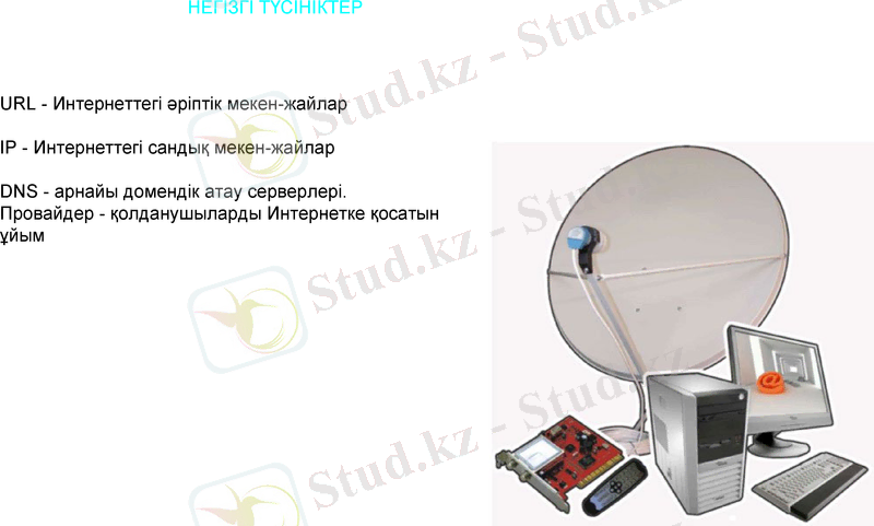 Slide 10