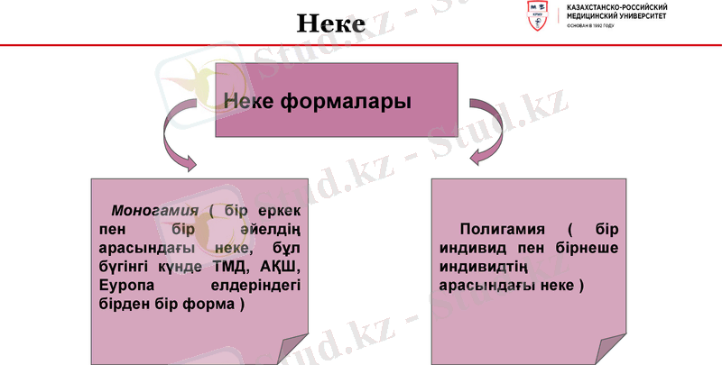 Slide 15