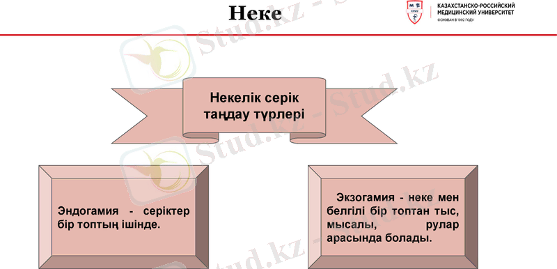 Slide 16