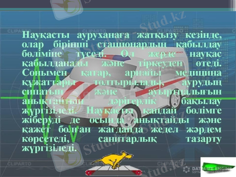 Slide 11