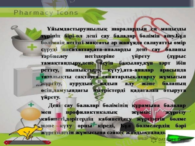 Slide 13