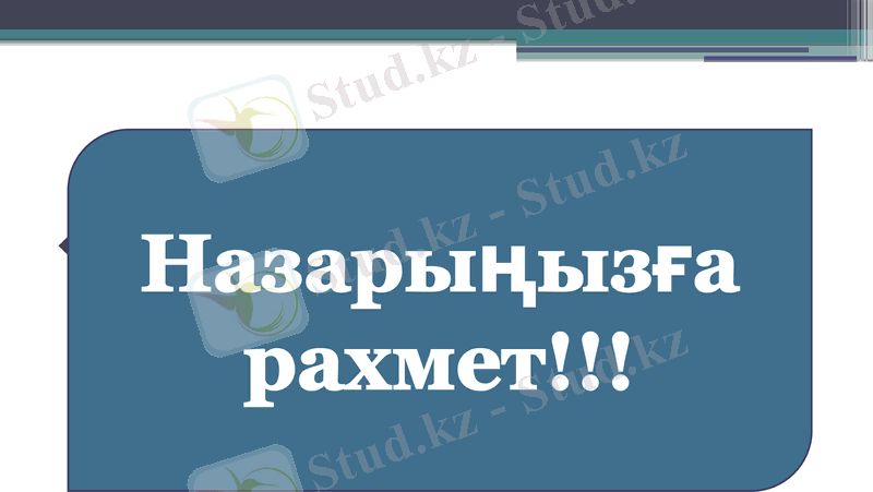 Slide 15