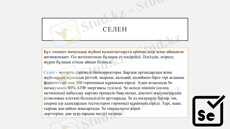 Slide 11