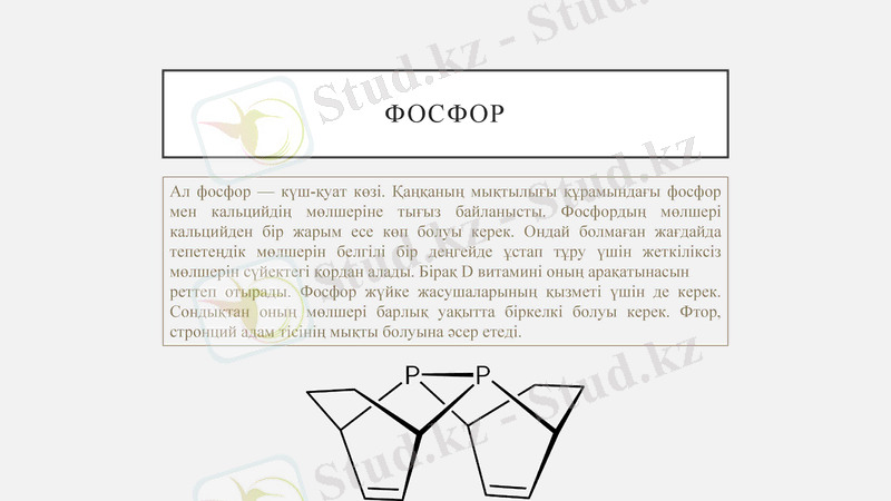 Slide 12