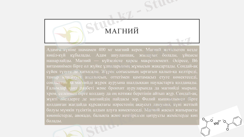 Slide 7