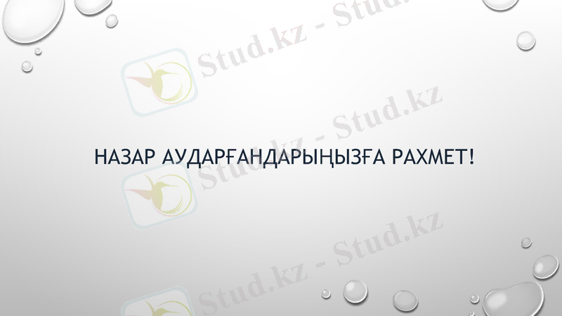 Slide 9