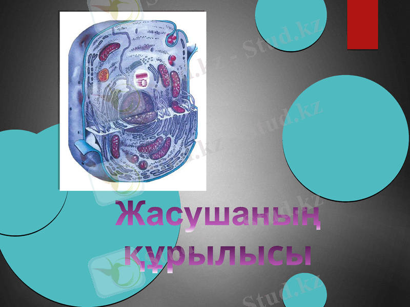 Slide 1