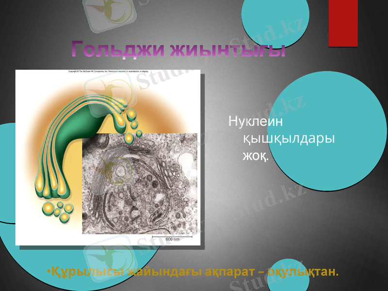 Slide 10
