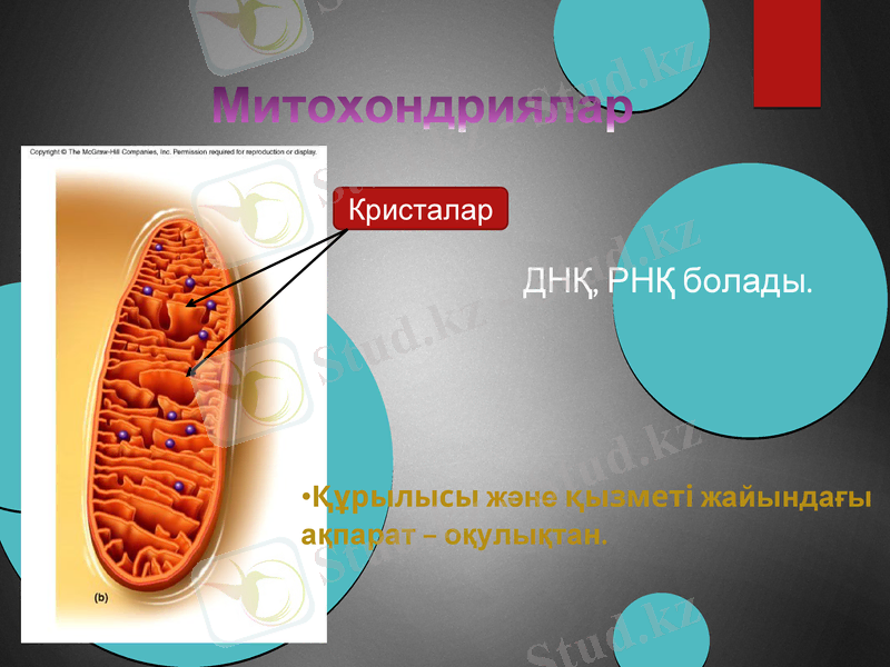 Slide 12