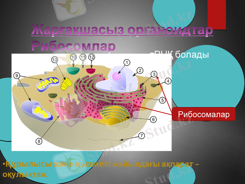 Slide 14