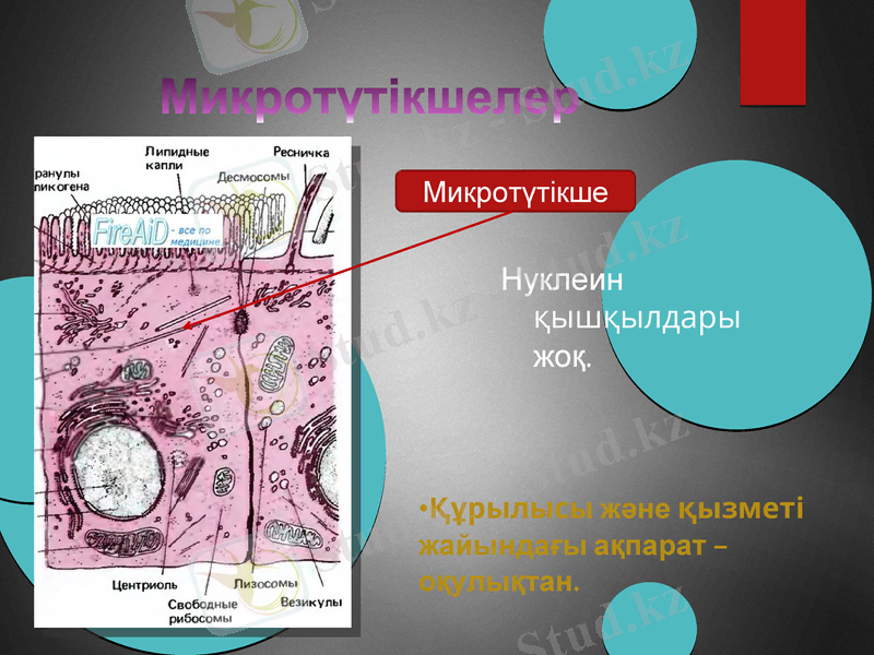 Slide 15