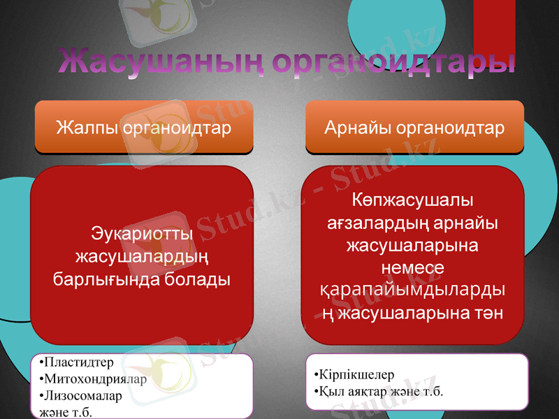 Slide 6