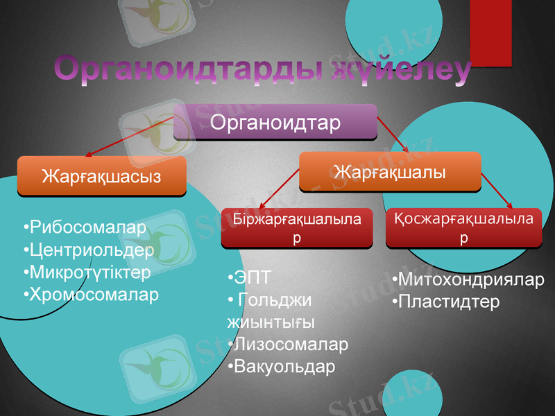 Slide 7
