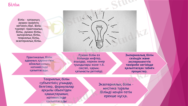 Slide 7