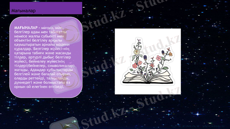 Slide 8