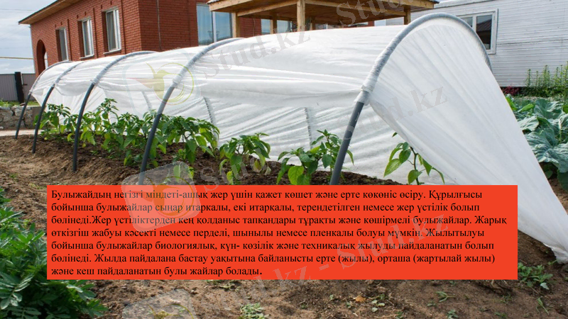 Slide 12
