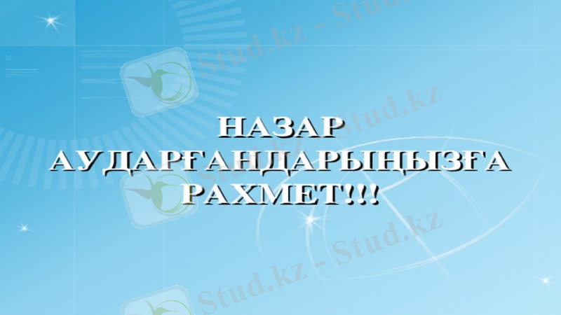 Slide 13