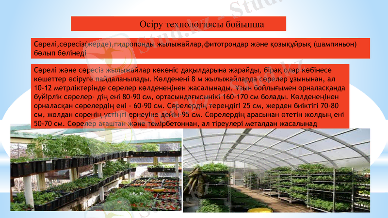 Slide 7