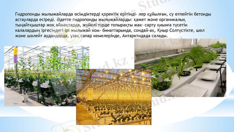 Slide 8