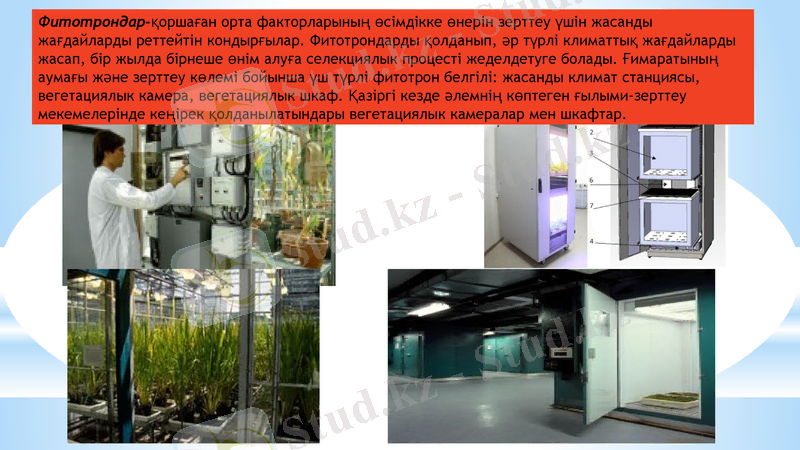 Slide 9