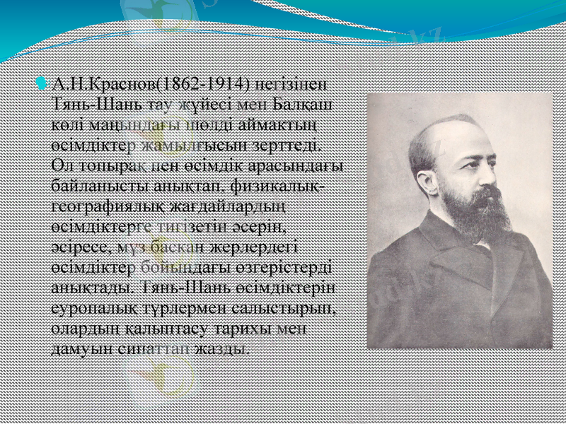 Slide 8