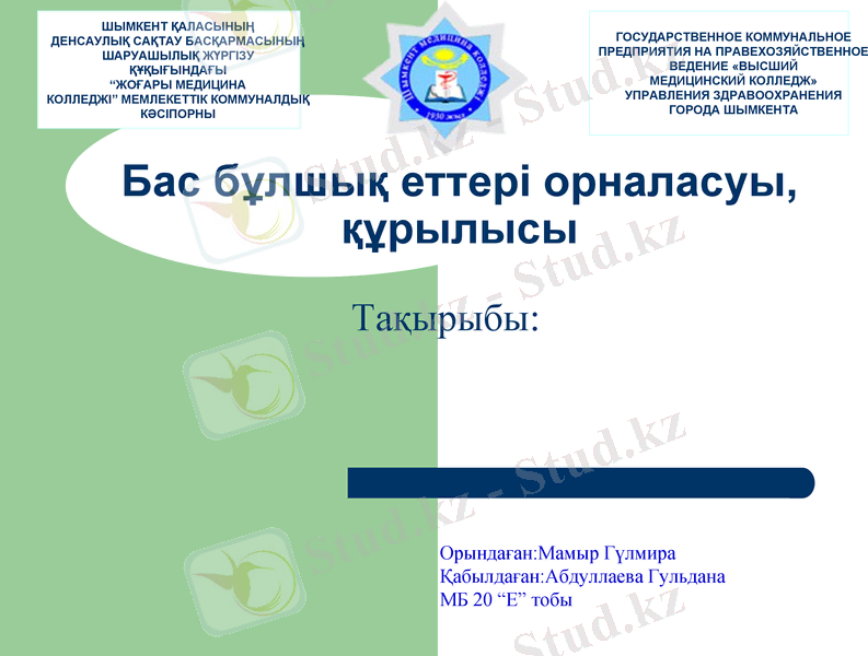 Slide 1