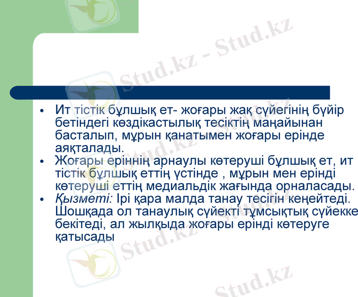 Slide 10