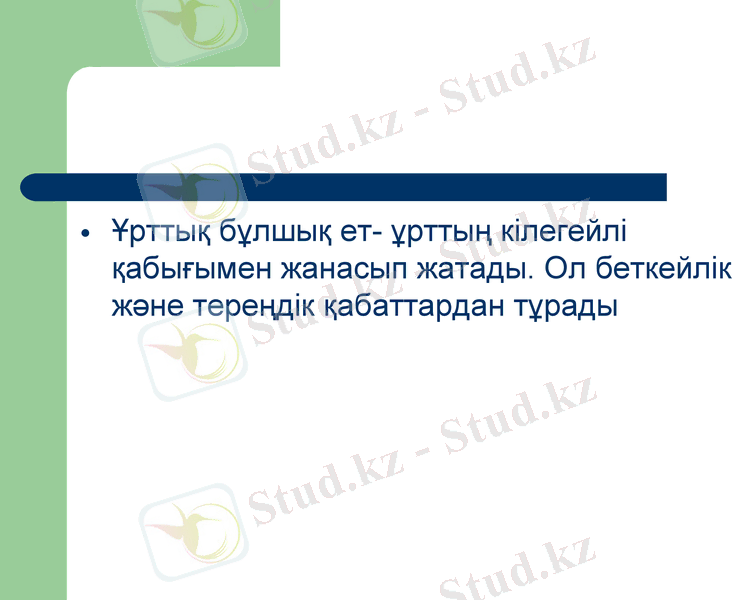 Slide 14