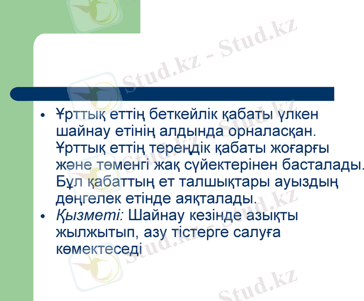 Slide 15