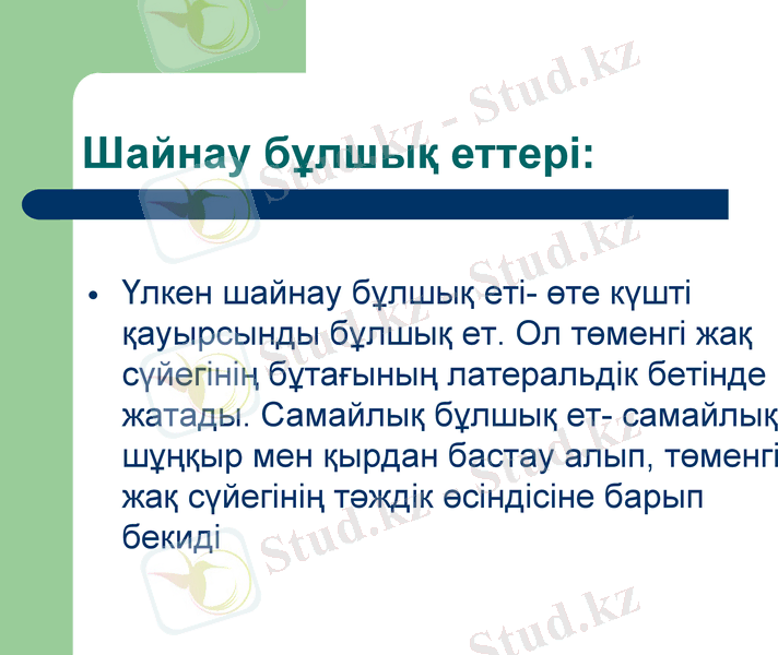 Slide 16