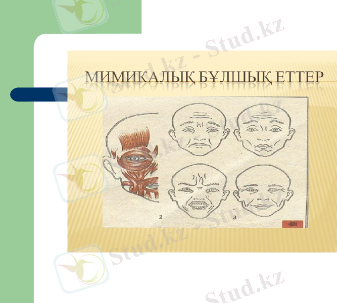 Slide 17