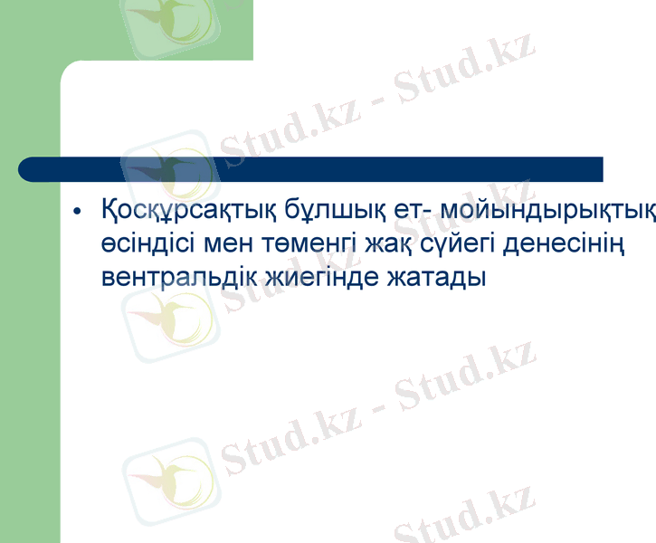 Slide 19