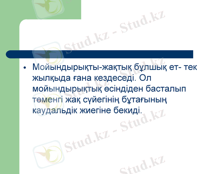 Slide 20